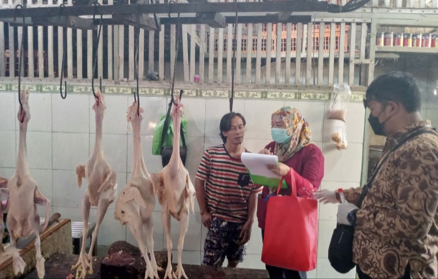 Pemkot Surabaya Antisipasi Penyebaran Virus Flu Burung