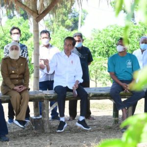 Gubernur Khofifah: Mangga Jatim Berkontribusi 42 Persen Produksi Nasional Gubernur Khofifah: Mangga Jatim Berkontribusi 42 Persen Produksi Nasional