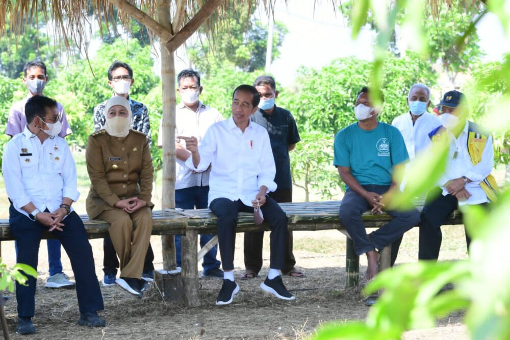 Gubernur Khofifah: Mangga Jatim Berkontribusi 42 Persen Produksi Nasional
