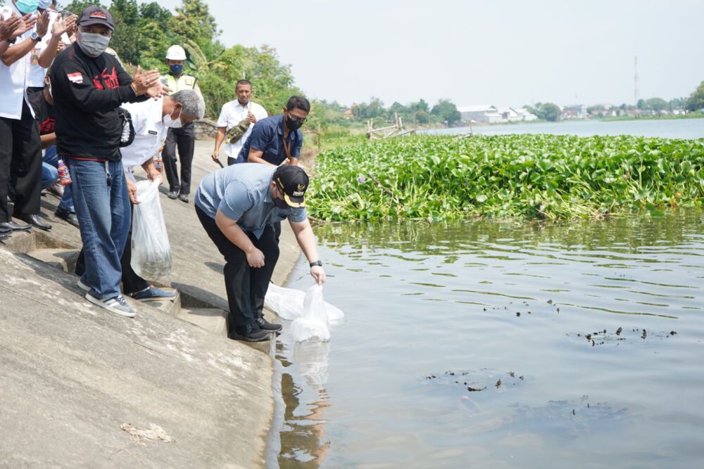 Jaga Ekosistem, Bupati Kediri Bentuk Pokmaswas Hingga Tebar 50 Ribu Benih Ikan