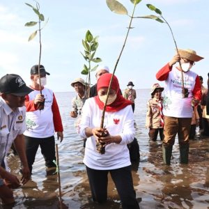 Buka Festival Mangrove Perdana, Gubernur Khofifah: Mari Sedekah Oksigen Dengan Menanam Mangrove