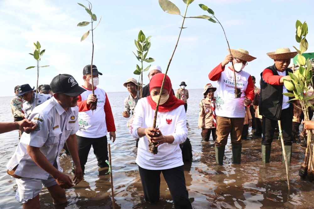 Buka Festival Mangrove Perdana, Gubernur Khofifah: Mari Sedekah Oksigen Dengan Menanam Mangrove
