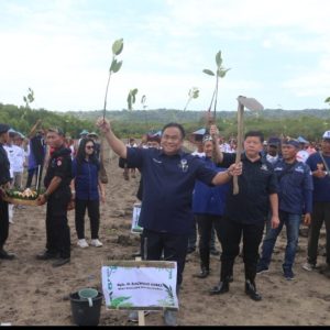 Ikut Peringati HUT RI ke 77, NasDem Tanam Ribuan Pohon Mangrove di Banyuwangi