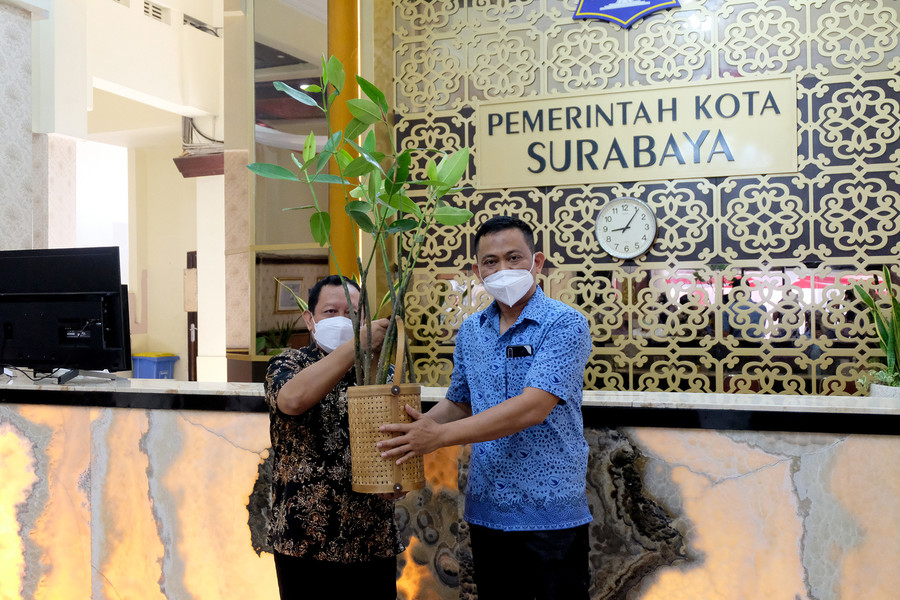 Pemkot Surabaya Terima Bantuan 5000 Bibit Mangrove