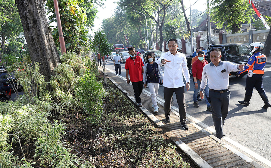 Pepohonan Sepanjang Jalan Raya Darmo tak Terawat, Eri Minta DLH untuk Merapikan
