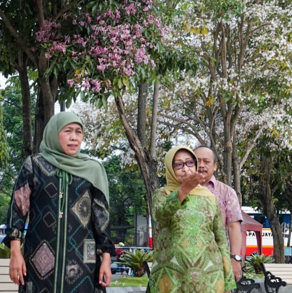 Gubernur Khofifah Terpukau Keindahan Bunga Tabebuya Jombang