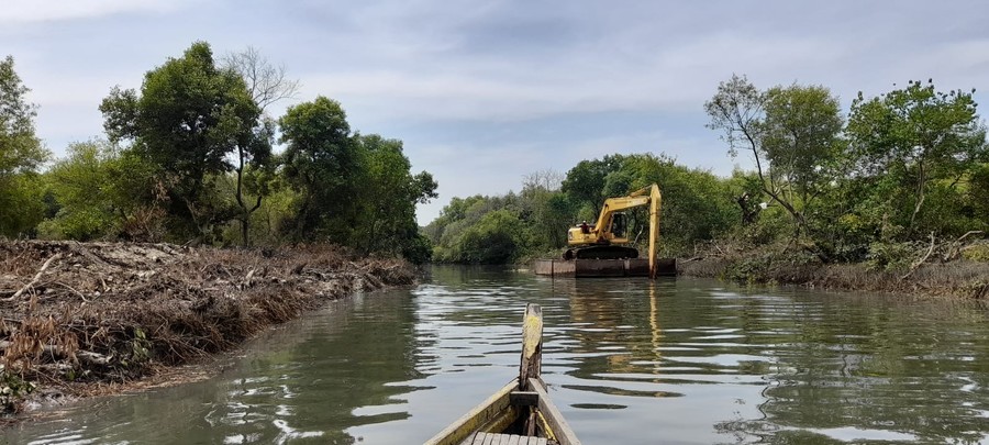 Pemkot Surabaya Keruk Lumpur Sepanjang Sungai Kawasan Mangrove Wonorejo