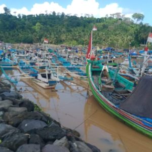 Ada Masyarakat Pesisir Tumpang Pitu