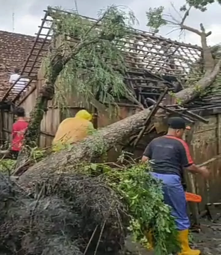 Rumah Roboh dan Tertimpa Pohon Akibat Hujan Angin