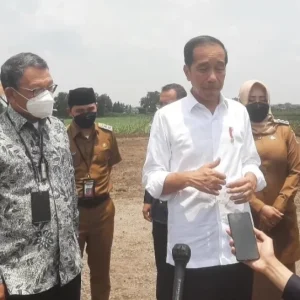 Menuju Swasembada Gula Nasional Presiden Jokowi Siapkan 700 Ribu Hektar Lahan