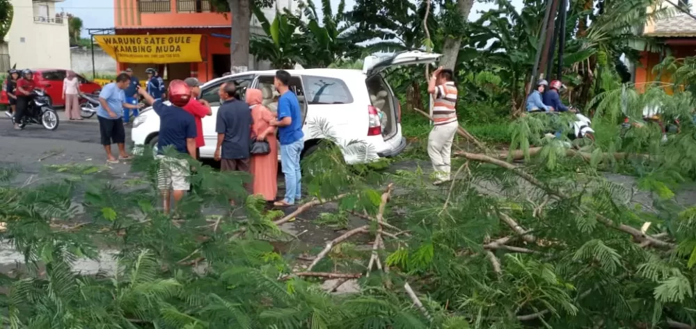Liburan Akhir Tahun, Mobil Keluarga Surabaya Hancur Tertimpa Pohon di Magetan