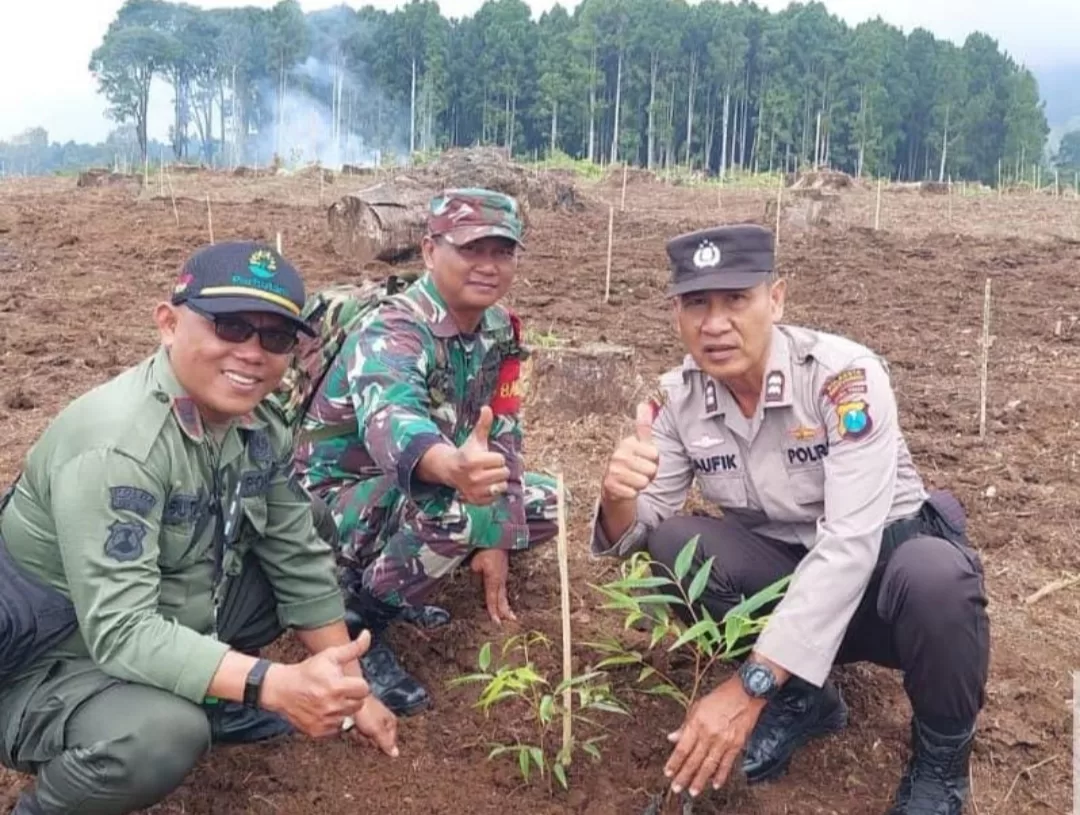 Babinsa Bersama 3 pilar Kelurahan Gombengsari Lakukan Penghijauan