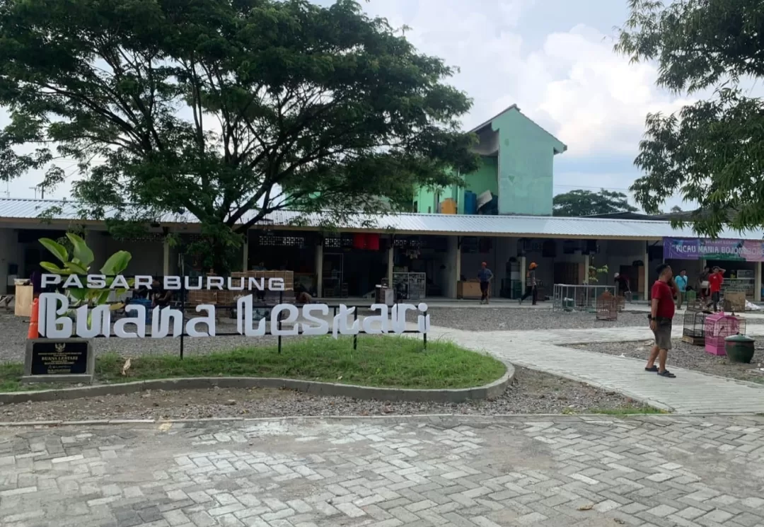 Pasar Burung Buana Lestari Makin Ramai, Kini Ada 6 Stan Penjual Ikan Hias