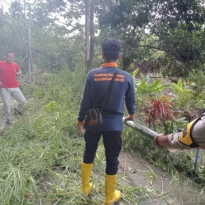 Terdera Hujan, Rumpunan Bambu Ambrol Tutup Akses Jalan di Madiun Terdera Hujan, Rumpunan Bambu Ambrol Tutup Akses Jalan di Madiun