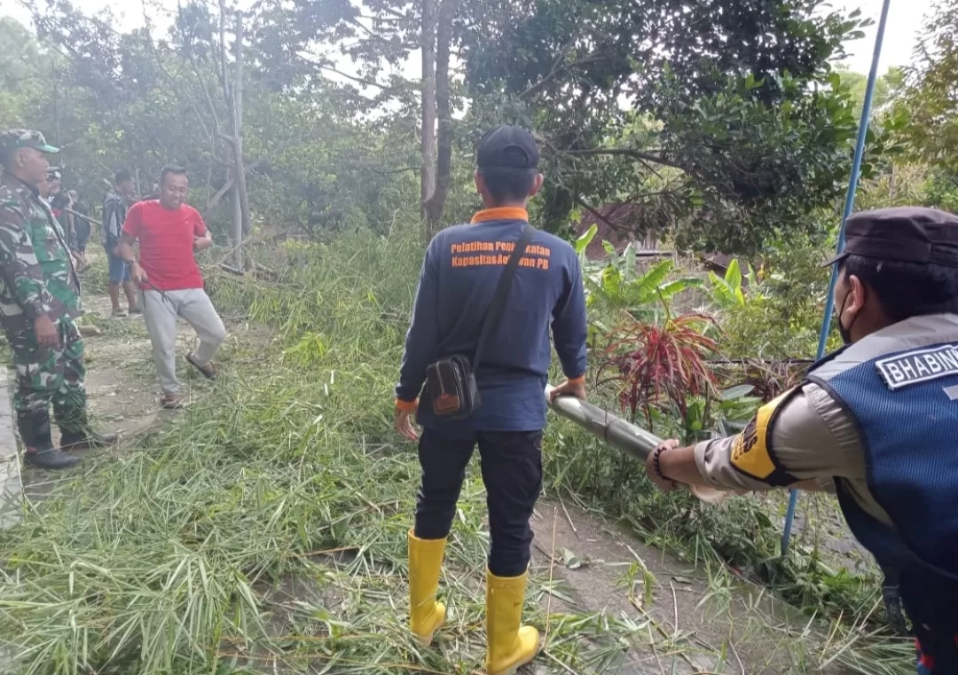 Terdera Hujan, Rumpunan Bambu Ambrol Tutup Akses Jalan di Madiun