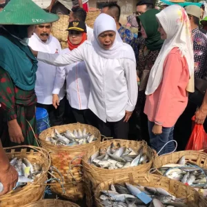 Ekpor Komoditas Perikanan Jatim Tertinggi Nasional Ekpor Komoditas Perikanan Jatim Tertinggi Nasional