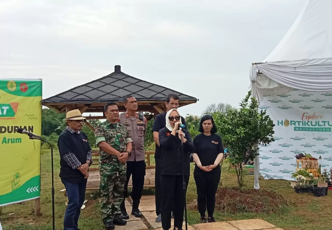 2 Varietas Durian Asli Bojonegoro Dapat Sertifikat dari Kementerian Pertanian RI