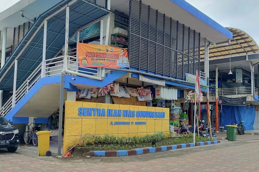 Pemkot Surabaya Percantik Sentra Ikan Hias Gunungsari