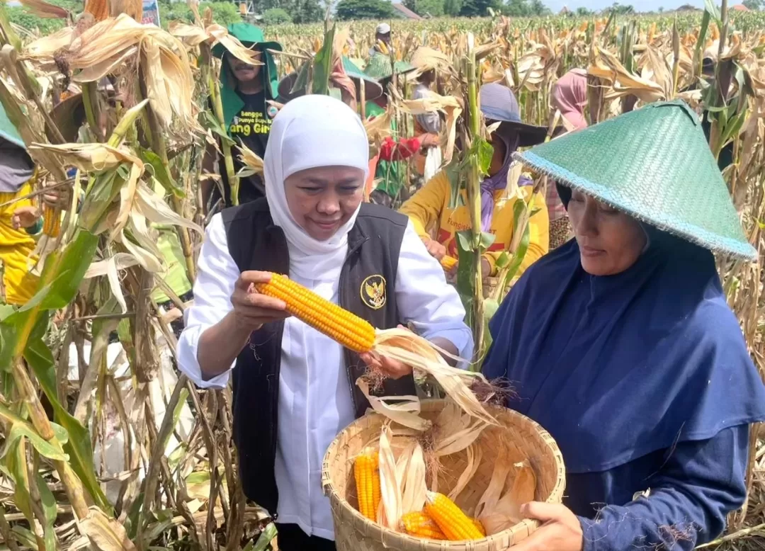 Gubernur Minta Jagong Reog 234 Ponorogo Segera di Patenkan
