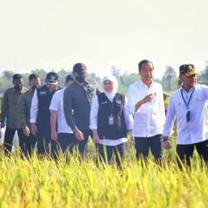 Presiden Jokowi Apresiasi Produksi Padi di Ngawi Tembus 10,5 Ton/hektar Presiden Jokowi Apresiasi Produksi Padi di Ngawi Tembus 10,5 Ton/hektar