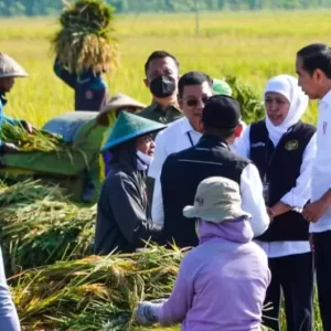 Gubernur Khofifah, Produksi Padi Ngawi Terbesar Kedua di Jatim Gubernur Khofifah, Produksi Padi Ngawi Terbesar Kedua di Jatim