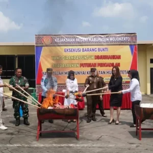 Barang Bukti 1 Kg SS dan Puluhan Handphone di Kejari Kab.Mojokerto Dimusnahkan Barang Bukti 1 Kg SS dan Puluhan Handphone di Kejari Kab.Mojokerto Dimusnahkan