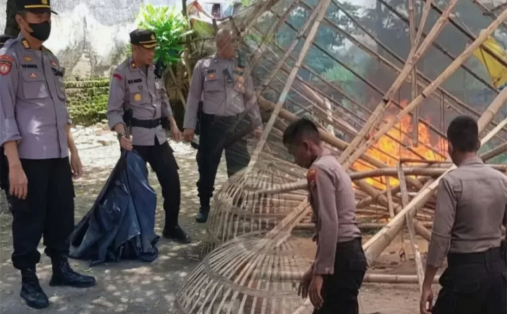 Tak Ada Ampun, Arena Sabung Ayam Paling Rahasia di Musnahkan Polres Mojokerto