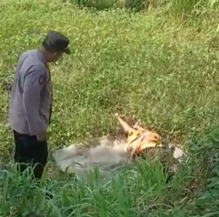 Usai Berkunjung Ke Istri Muda, Mitro Ditemukan Tak Bernyawa Di Lahan Kosong