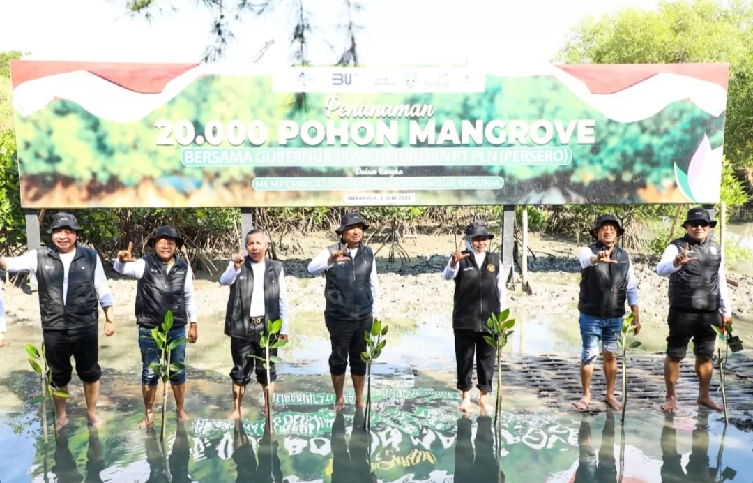 Khofifah Tanam 20.000 Mangrove Di Gunung Anyar Surabaya
