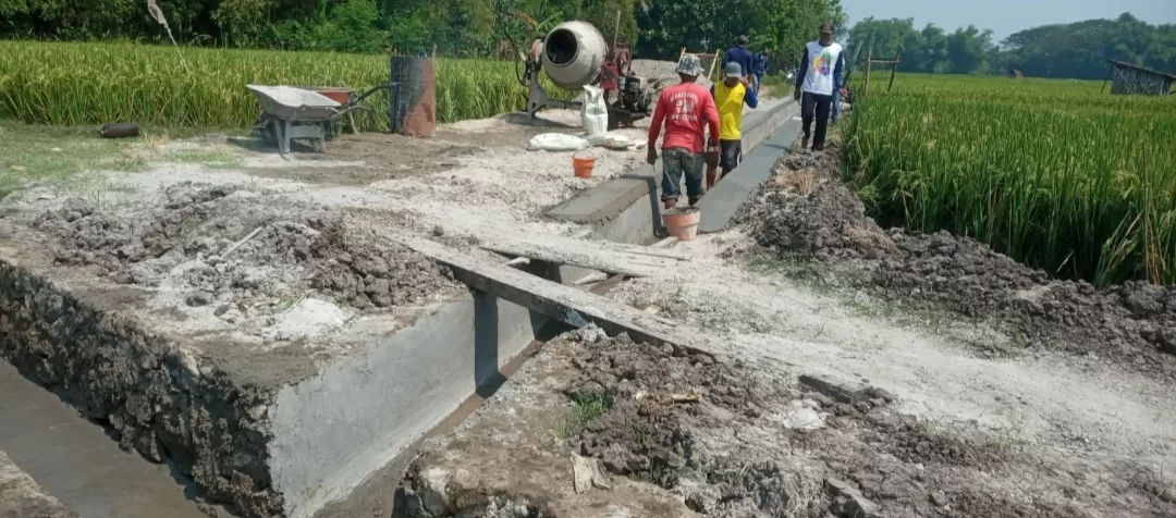 Kejar Kebutuhan Irigasi Musim Tanam, Hippa Tani Berkah Desa Duyung Kebut Proyek Saluran Tersier
