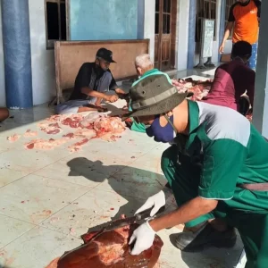 Disnakkan Bojonegoro Bagi-bagi Tips Penyembelihan Hewan Kurban Disnakkan Bojonegoro Bagi-bagi Tips Penyembelihan Hewan Kurban