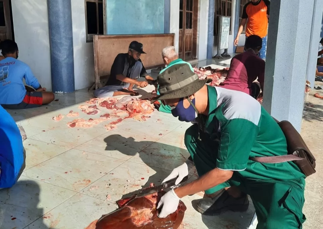 Disnakkan Bojonegoro Bagi-bagi Tips Penyembelihan Hewan Kurban