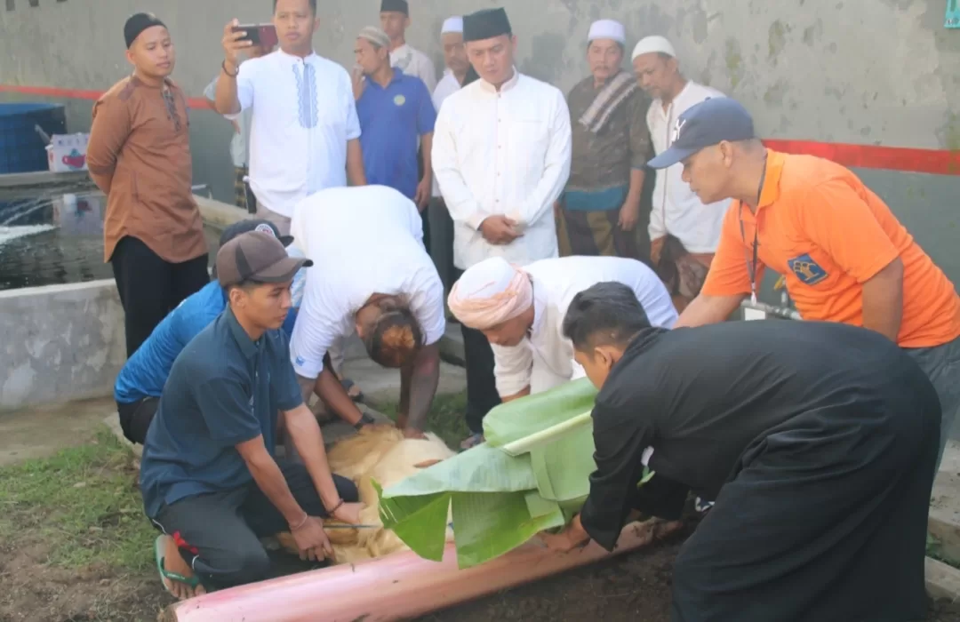 Merayakan Idul Adha Lapas Banyuwangi Potong 11 Hewan Qurban