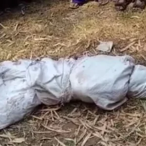 Mayat Terikat Dalam Karung, Gegerkan Alastlogo Mayat Terikat Dalam Karung, Gegerkan Alastlogo
