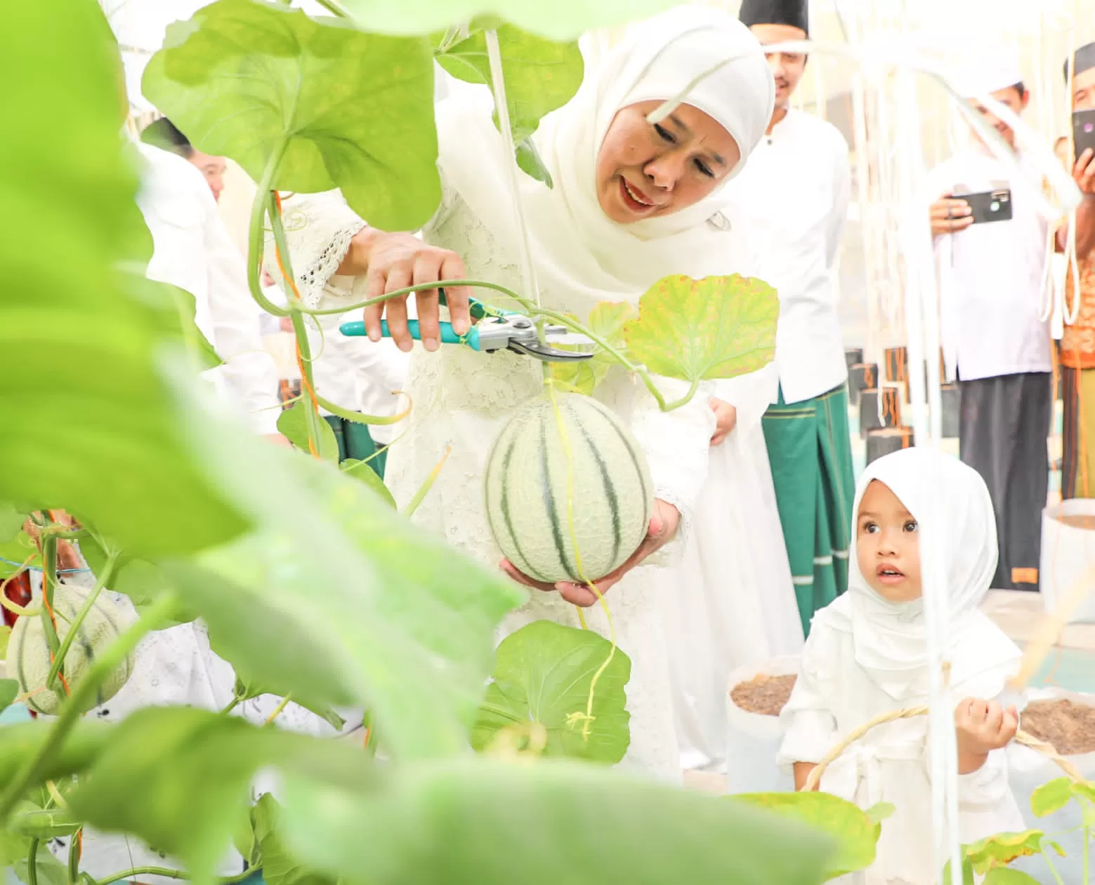 Ada Tanaman Melon Di MAS, Cucu Khofifah Mulai Belajar Menanam
