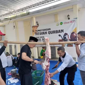 Kejari Bangil, Bagikan Hewan Kurban Pada Warga Sekitar Kejari Bangil, Bagikan Hewan Kurban Pada Warga Sekitar