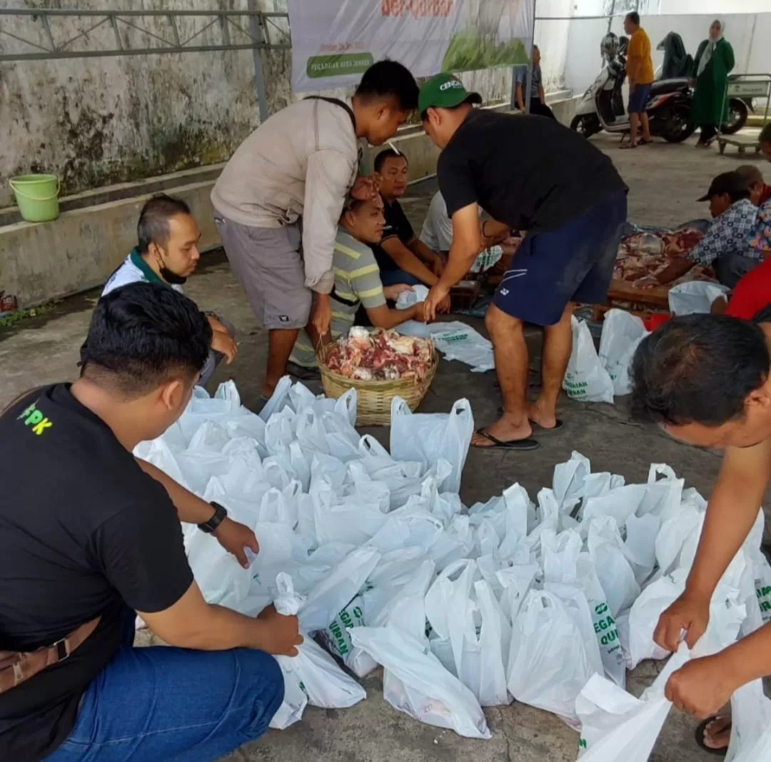 Kantor Pegadaian Deputy Area Bisnis Jember Sembelih Satu Ekor Sapi Dan Tiga Ekor Kambing