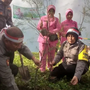 Tanam Puluhan Pohon Cemara di Pantai Wonosari Sobo Tandai HUT 78 Kemerdekaan RI