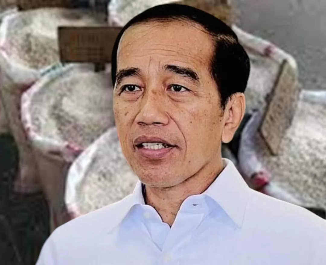 Reaksi Pasar Terhadap Harga Beras, Saat Kunjungan Presiden Jokowi ke Kota Palu