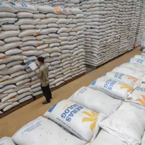 Mentan Pastikan Ketersediaan Beras Nasional Hadapi Fenomena El Nino Mentan Pastikan Ketersediaan Beras Nasional Hadapi Fenomena El Nino
