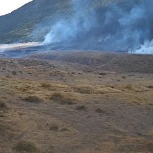 Respon Cepat Tim bersih Gunung, Kemenko PMK Turun Bantu Padamkan Kebakaran Gunung Gede