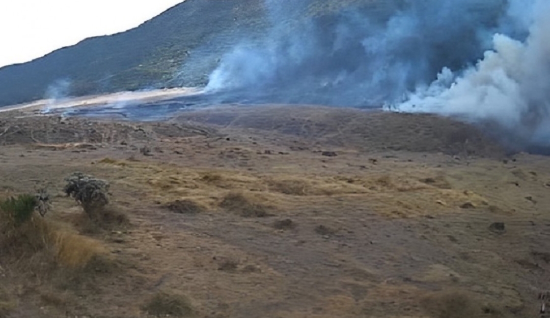 Respon Cepat Tim bersih Gunung, Kemenko PMK Turun Bantu Padamkan Kebakaran Gunung Gede Respon Cepat Tim bersih Gunung, Kemenko PMK Turun Bantu Padamkan Kebakaran Gunung Gede
