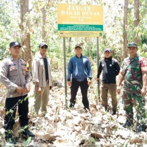 Sinergitas Polri, TNI dan Perhutani dalam Penanganan Karhutla di Banyuwangi
