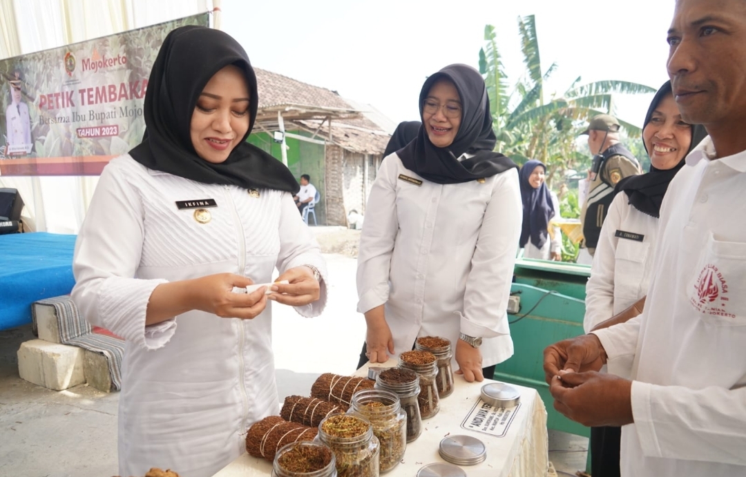 Tembus 45.000/Kg, Bupati Ikfina Minta Petani Tembakau Jaga Kualitas
