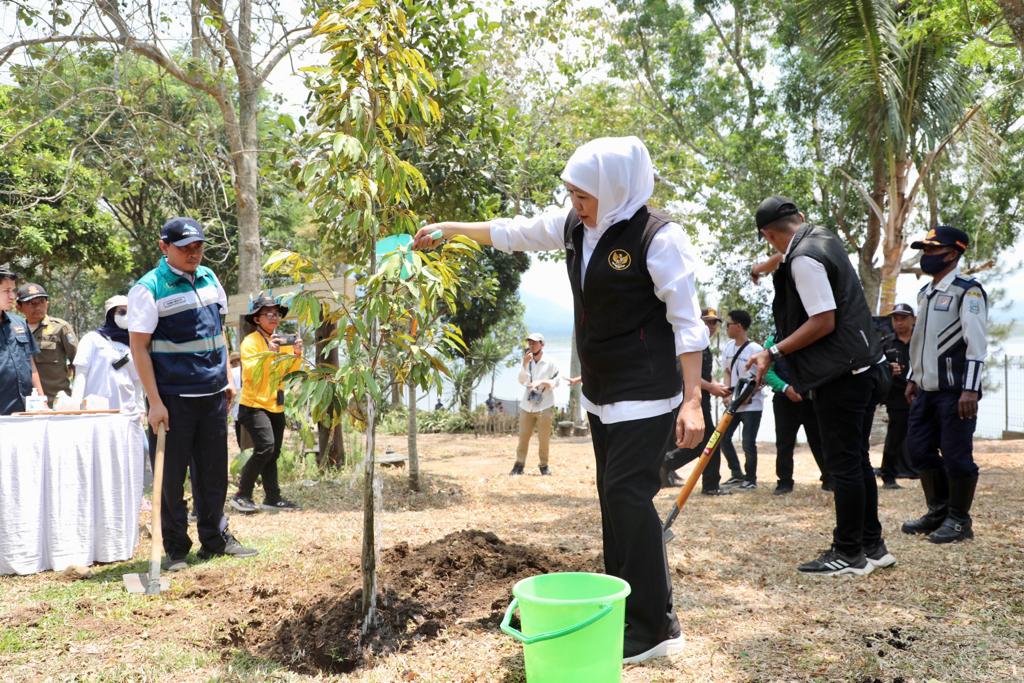 Gubernur Jatim Gencarkan Aksi Tanam Pohon