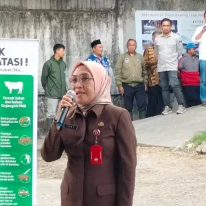 Kesulitan Awasi Lalin Ternak Jalur Tol, Disnak Jatim Jalin Kerjasama dengan Polisi dan Dishub Kesulitan Awasi Lalin Ternak Jalur Tol, Disnak Jatim Jalin Kerjasama dengan Polisi dan Dishub