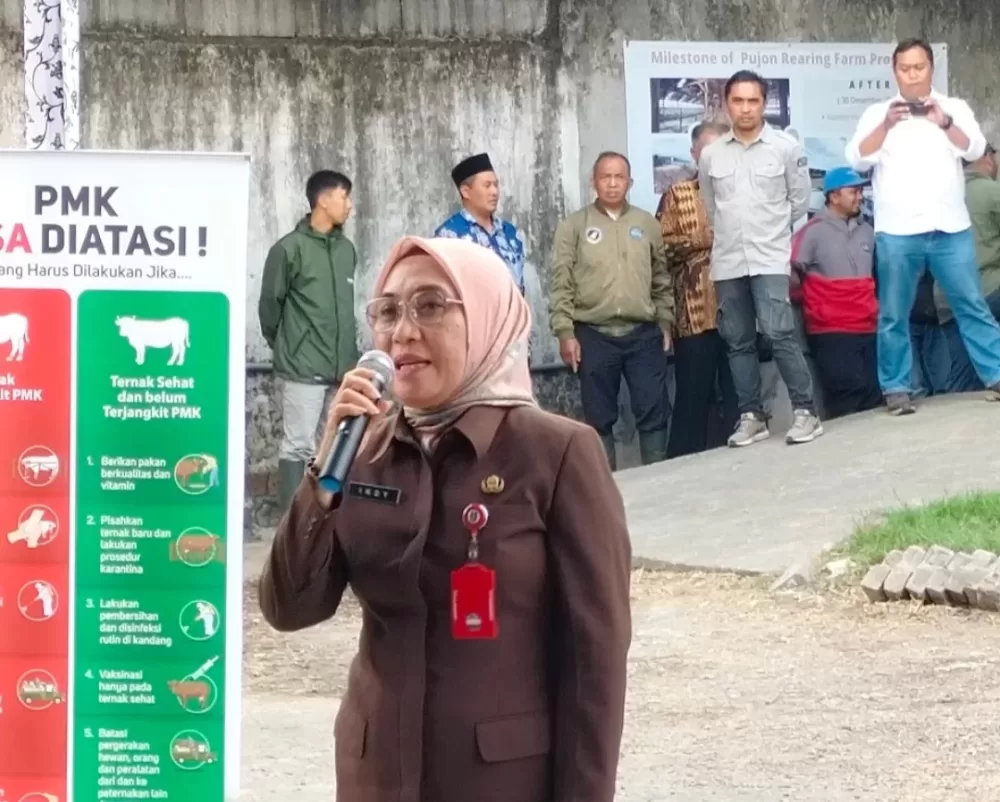 Kesulitan Awasi Lalin Ternak Jalur Tol, Disnak Jatim Jalin Kerjasama dengan Polisi dan Dishub