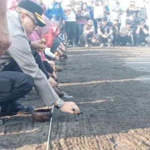 Bhayangkari Polri Lepas Ratusan Tukik Dan Penanaman Manggrove di Pantai Cemara