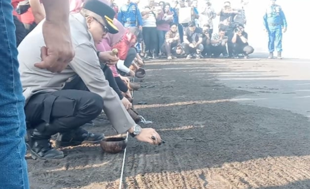 Bhayangkari Polri Lepas Ratusan Tukik Dan Penanaman Manggrove di Pantai Cemara