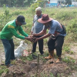 Kemenko PMK Bagikan 10 Ribu Bibit Pohon Durian Unggul Kemenko PMK Bagikan 10 Ribu Bibit Pohon Durian Unggul